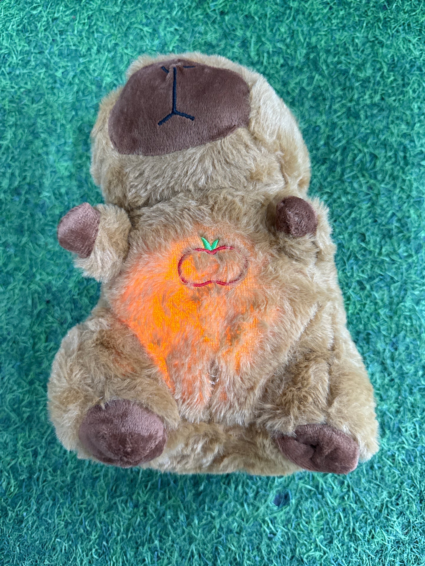 CAPYBARA QUE RESPIRA