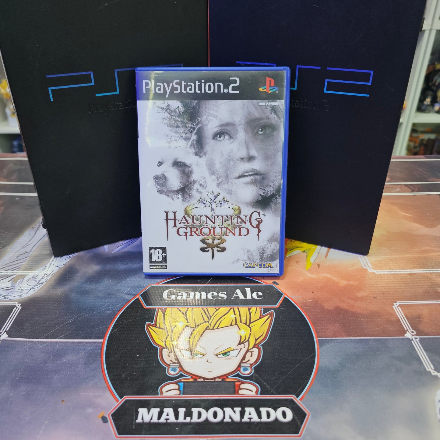 HAUNTING GROUND JUEGO DE PLAYSTATION 2 (USADO)