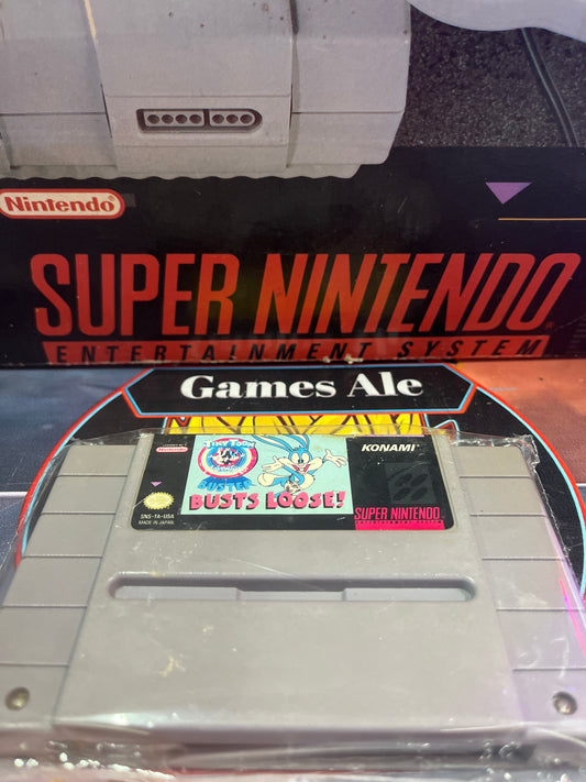 TINT TOON ADVENTURE BUSTER - JUEGO SUPER NINTENDO