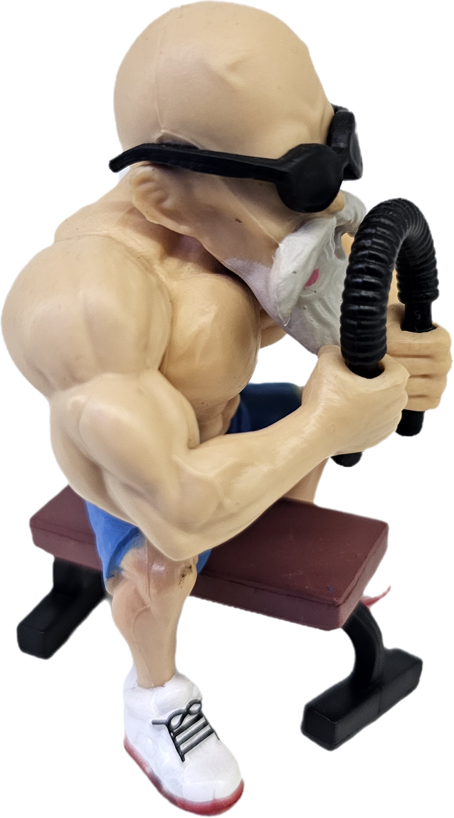 FIGURA DEL MAESTRO ROSHI GYM DRAGON BALL