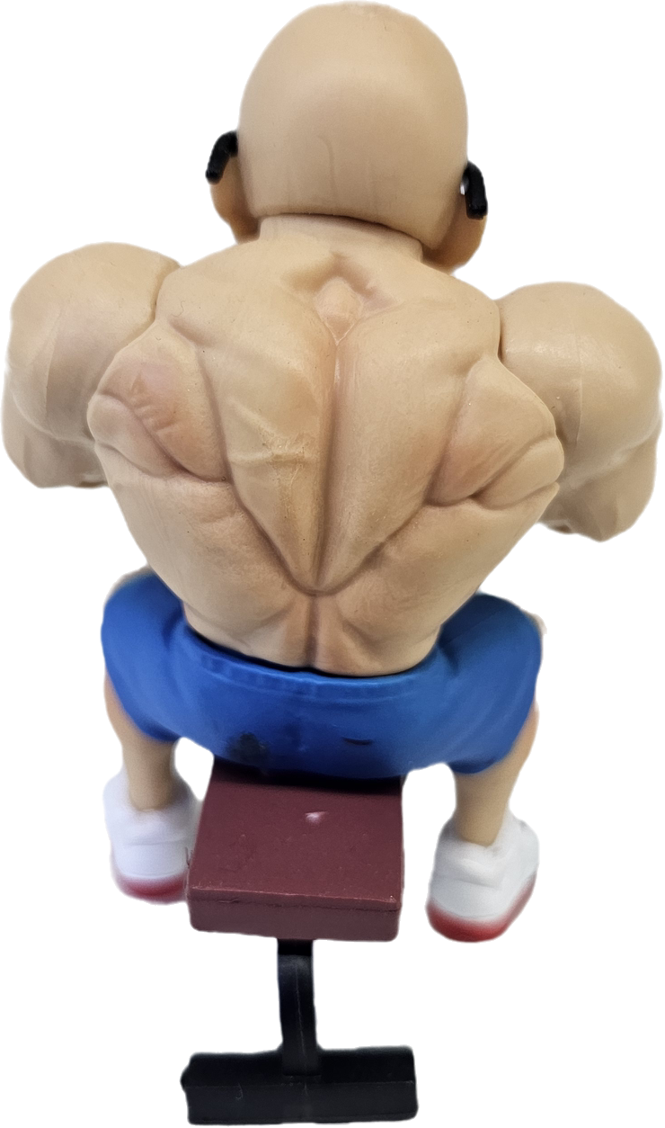 FIGURA DEL MAESTRO ROSHI GYM DRAGON BALL