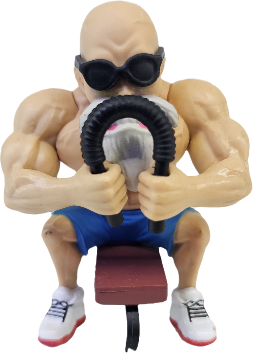 FIGURA DEL MAESTRO ROSHI GYM DRAGON BALL