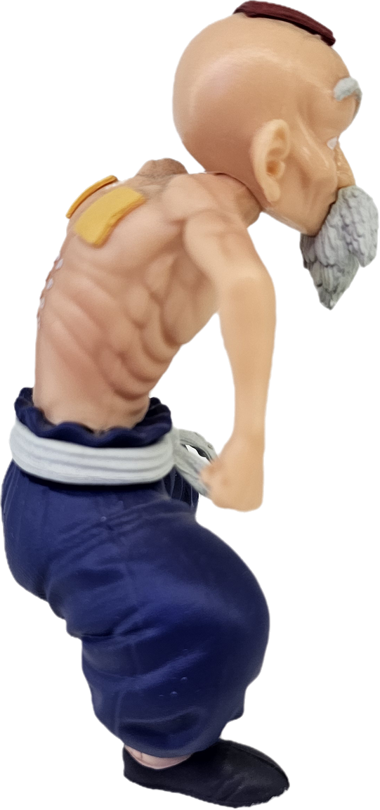 FIGURA DEL MAESTRO ROSHI DRAGON BALL